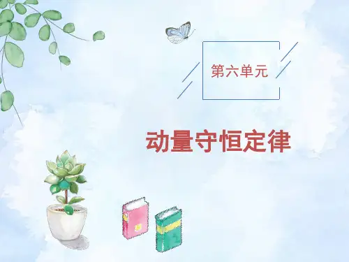 2021年高考物理一轮复习资料第六单元第1节动量和动量定理课件