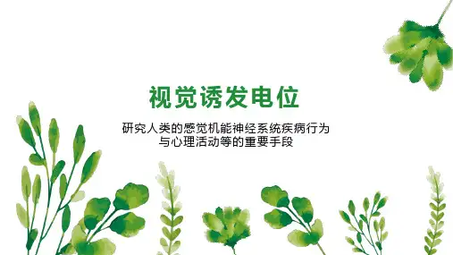 视觉诱发电位