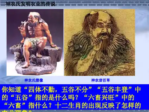 发达的古代农业ppt8课件