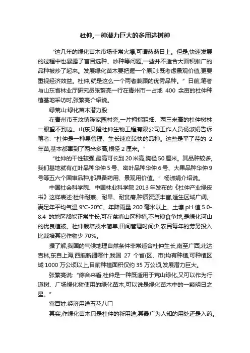 杜仲,一种潜力巨大的多用途树种