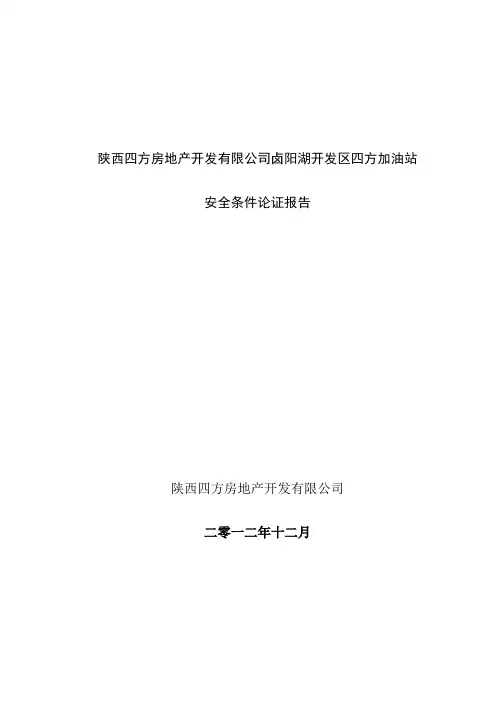 安全条件论证报告