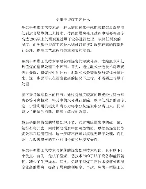 免烘干型煤工艺技术