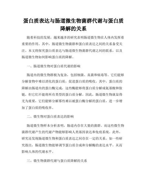 蛋白质表达与肠道微生物菌群代谢与蛋白质降解的关系