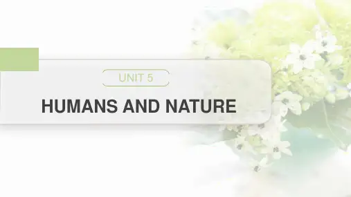 北师大英语必修二 Unit 5 Humans and nature--A sea story