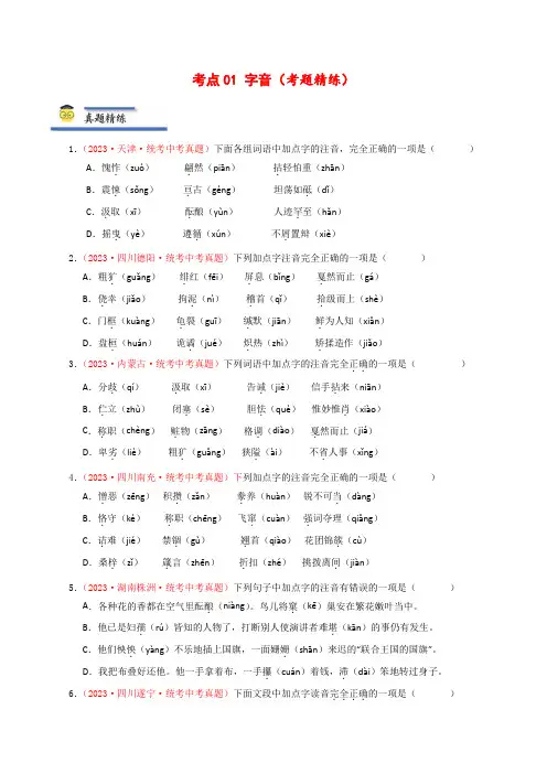 考点01字音(考题精练)-2024年中考语文一轮复习考点归纳与考题精练(原卷版)