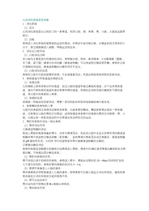 人的消化系统及其功能