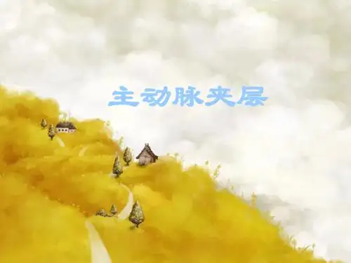 主动脉夹层