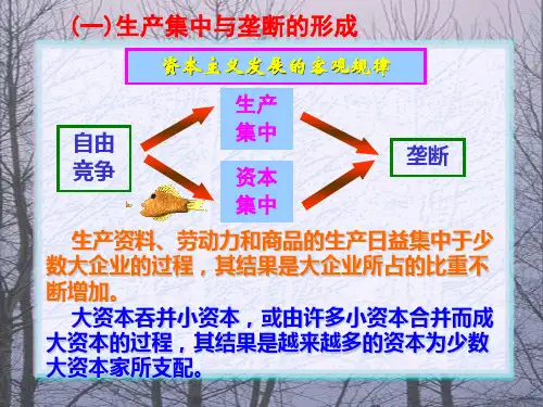 马克思主义哲学第五章-1从自由竞争资本主义到垄断资本主义-PPT精选文档
