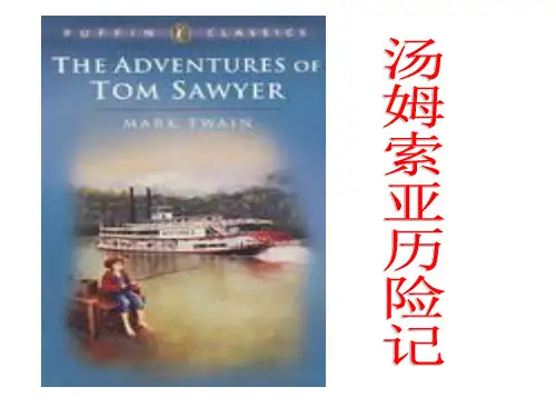 汤姆索亚历险记解析