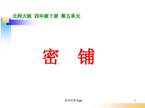 北师大版四年级数学下册《密铺》ppt课件