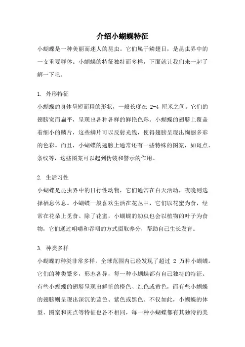 介绍小蝴蝶特征