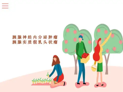 胰腺肿瘤影像诊断