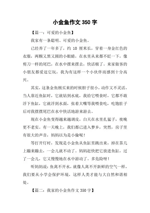 小金鱼作文350字
