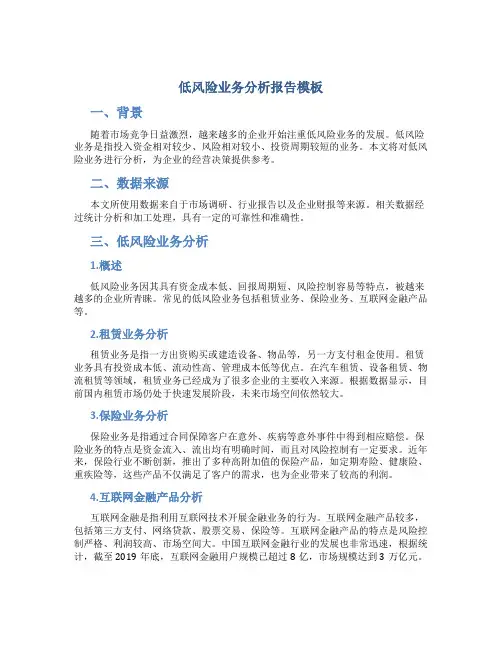 低风险业务分析报告模板