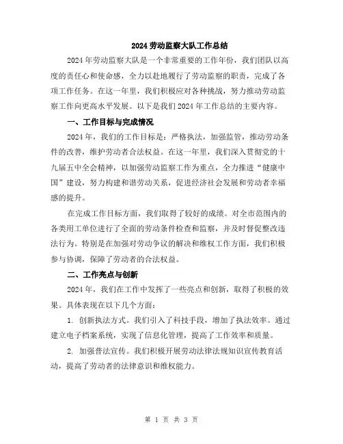 2024劳动监察大队工作总结