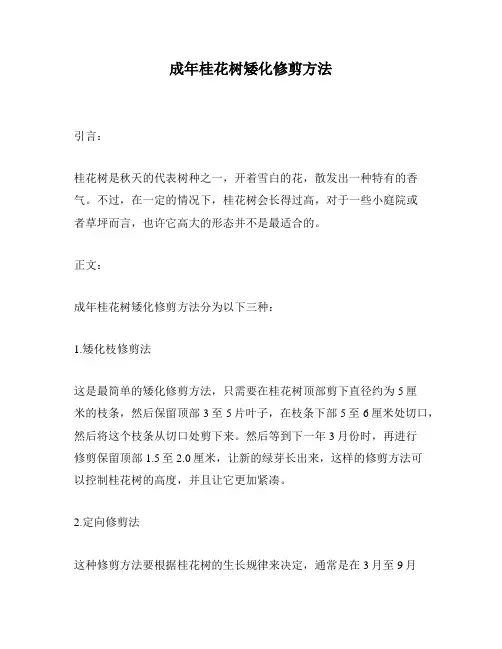 成年桂花树矮化修剪方法