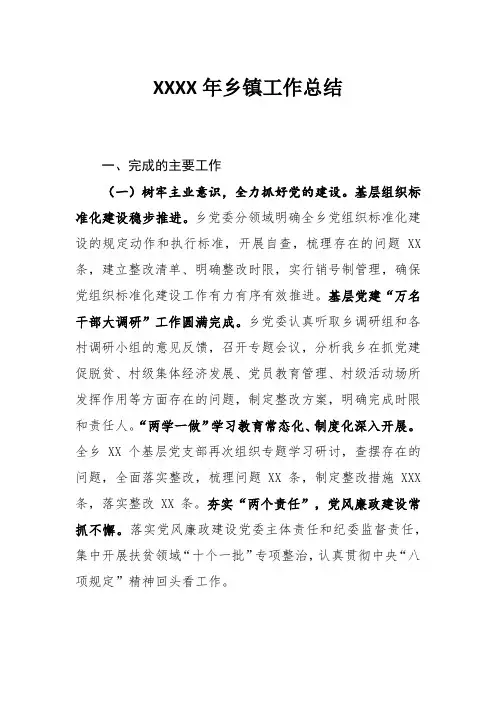 2019年乡镇工作总结