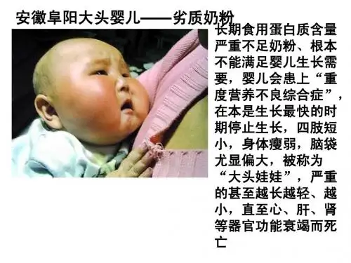 高二化学选修1：生命的基础--蛋白质