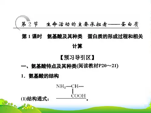 生物人教版必修1课件：第2章 第2节 第1课时 氨基酸及其种类 蛋白质的形成过程和相关计算