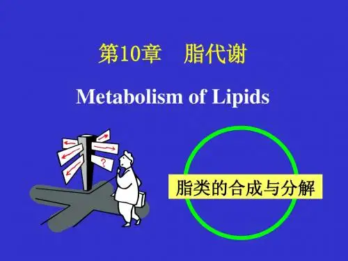 考研科目,动物生物化学  第10章 脂类代谢