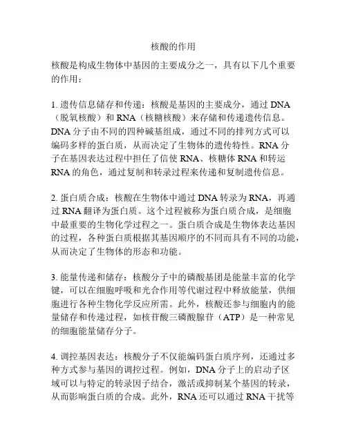 核酸的作用