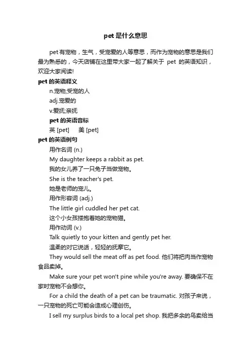 pet是什么意思