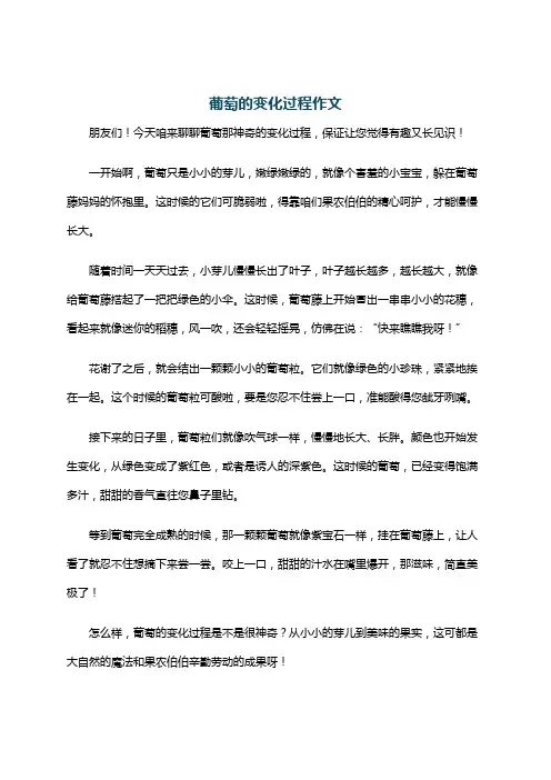 葡萄的变化过程作文