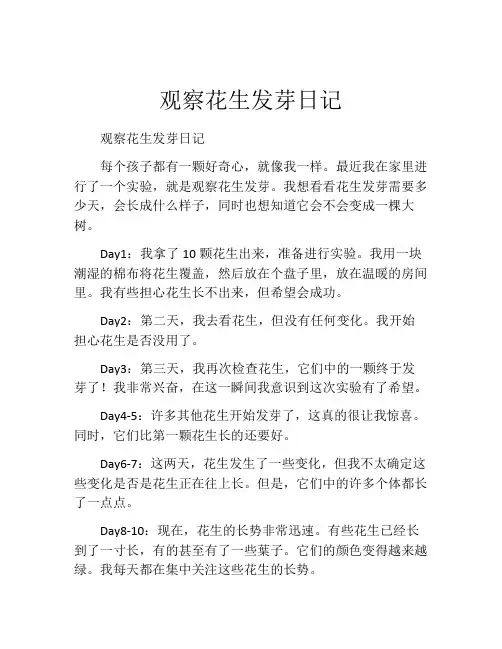 观察花生发芽日记