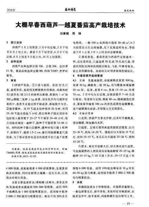 大棚早春西葫芦——越夏番茄高产栽培技术