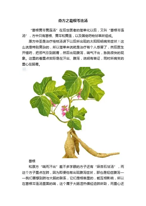 奇方之葛根芩连汤
