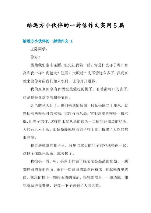 给远方小伙伴的一封信作文实用5篇