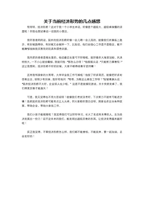 关于当前经济形势的几点感想
