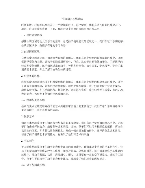 中班期末区域总结