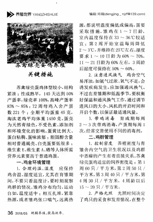 苏禽绿壳蛋鸡养殖关键措施