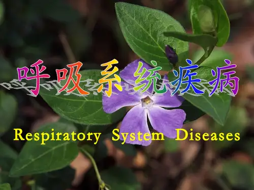 肺炎 病理学