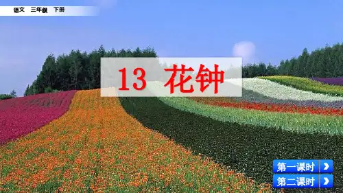 部编版三年级语文下册第13课《花钟》精美PPT课件