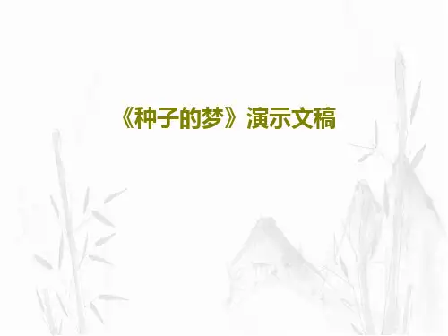 《种子的梦》演示文稿17页PPT