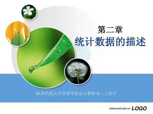 统计学原理数据的描述(1)