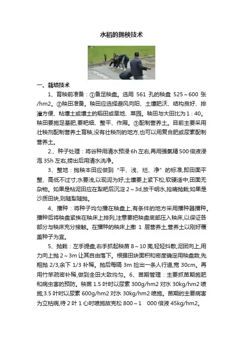 水稻的抛秧技术