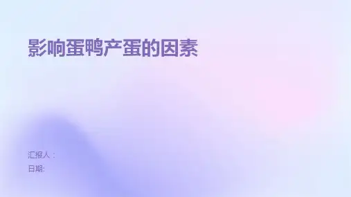 影响蛋鸭产蛋的因素