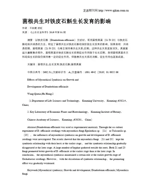 菌根共生对铁皮石斛生长发育的影响