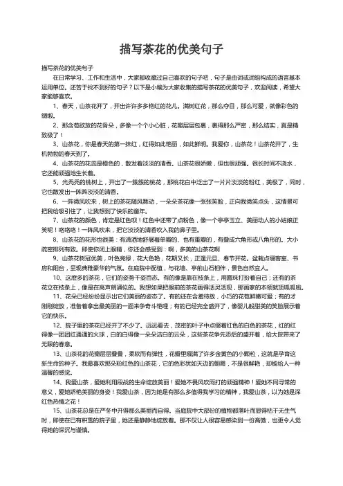 描写茶花的优美句子