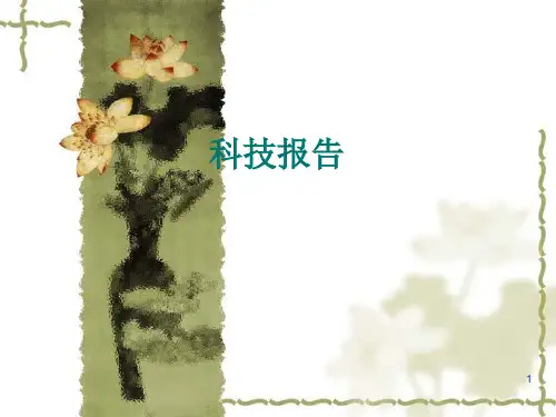 科技报告