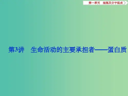 高考生物大一轮复习 第一单元 细胞及分子组成 第3讲 生命活动的主要承担者-蛋白质课件