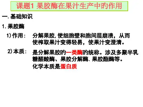 高中生物选修1专题4酶的研究与应用省公开课获奖课件市赛课比赛一等奖课件