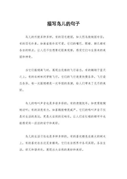 描写鸟儿的句子