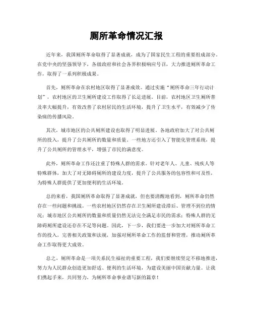 厕所革命情况汇报