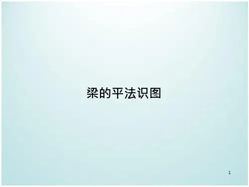 16G101图集梁的平法识图