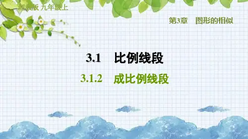 成比例线段PPT课件