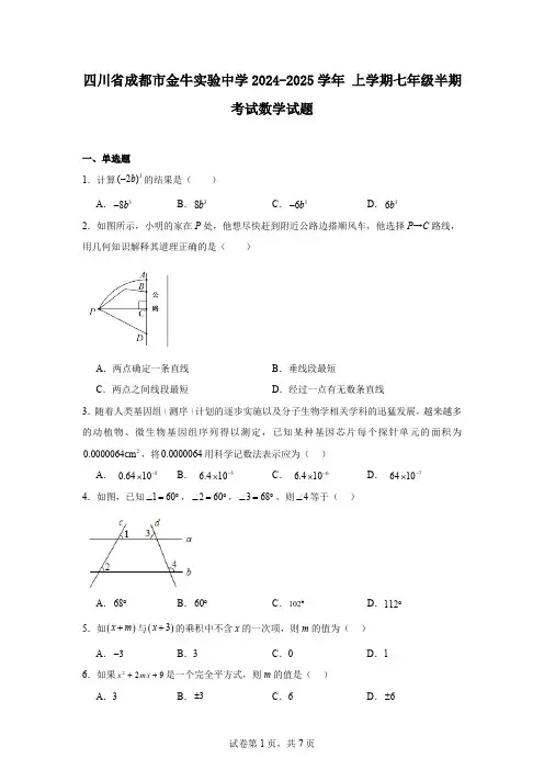 四川省成都市金牛实验中学2024-2025学年上学期七年级半期考试数学试题